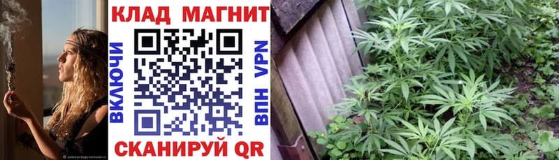 Где купить Мелеуз Cocaine  НБОМе  Гашиш  A-PVP 