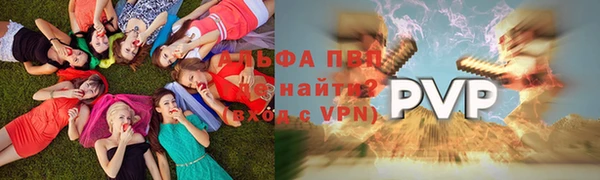 гидра Ельня