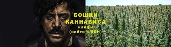 гидра Елабуга