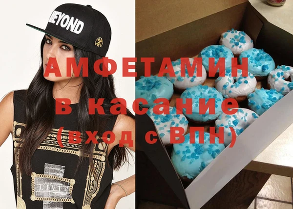 гидра Ельня