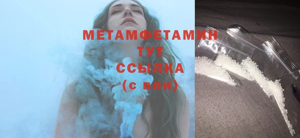гидра Елабуга