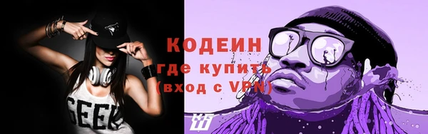 мет Инта