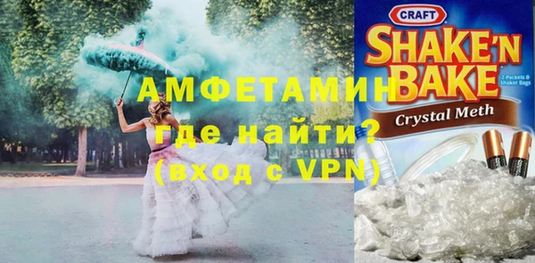 гидра Ельня
