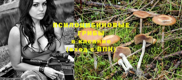 марки lsd Барнаул
