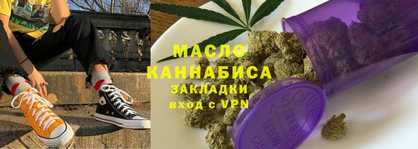 гидра Елабуга