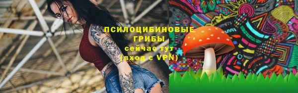 гидра Елабуга