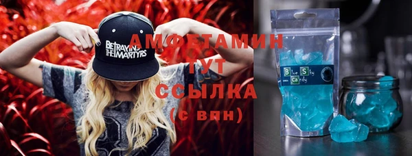 гидра Ельня